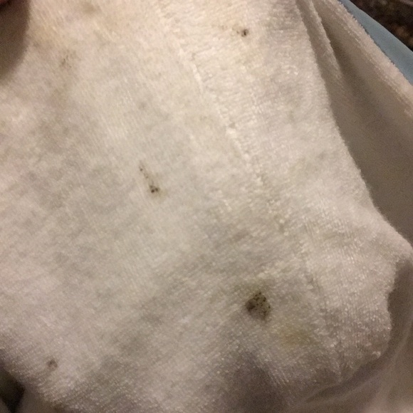 Rain coat with dogs playing. - Picture 7 of 8